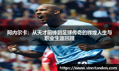 hth华体会网址