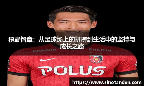 hth华体会网址
