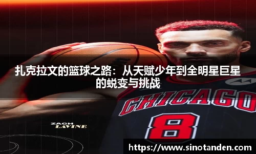 hth华体会新版本