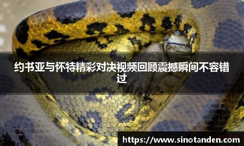 hth华体会新版本