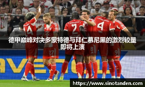 hth华体会新版本